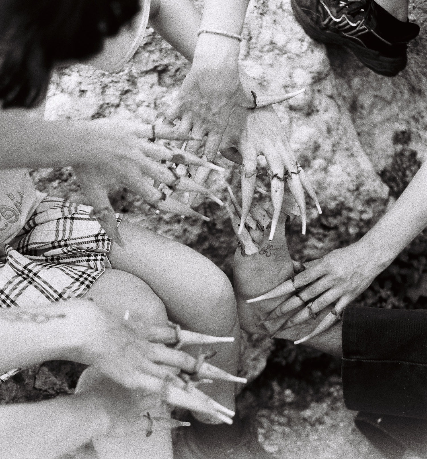 Les fleurs_MAAT25015_web